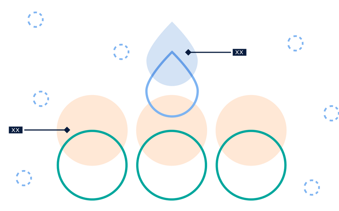Skin Barrier Diagram