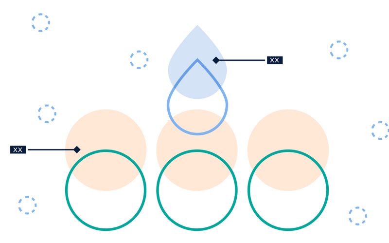 Skin Barrier Diagram