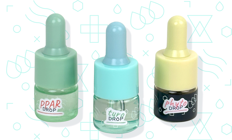 Drop Plog Introducing Drops