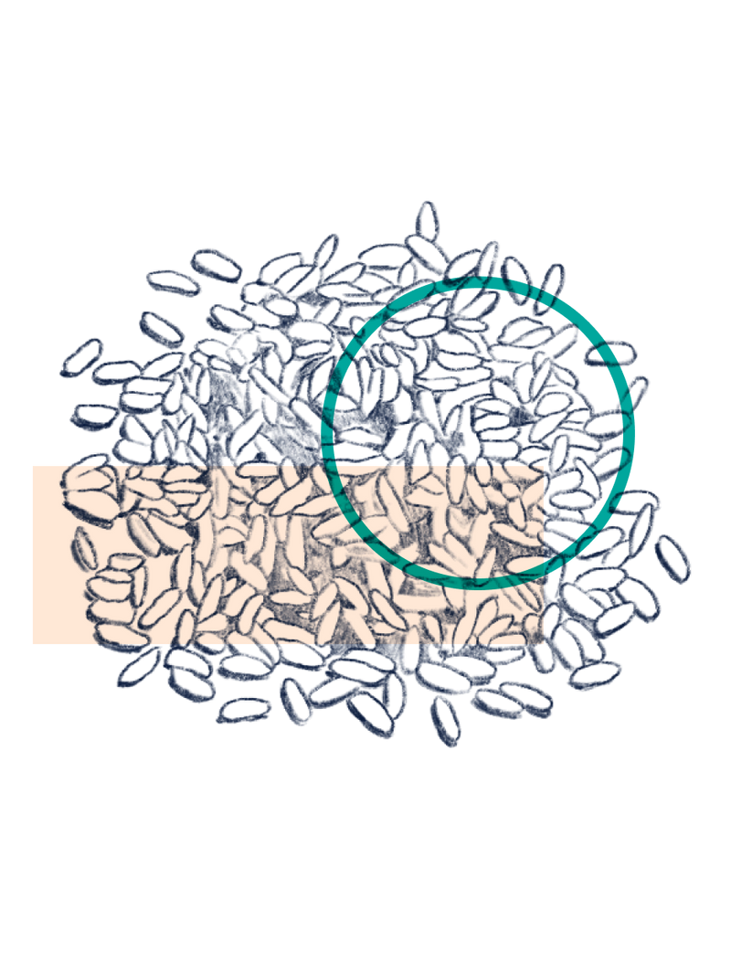 Ferulic Acid