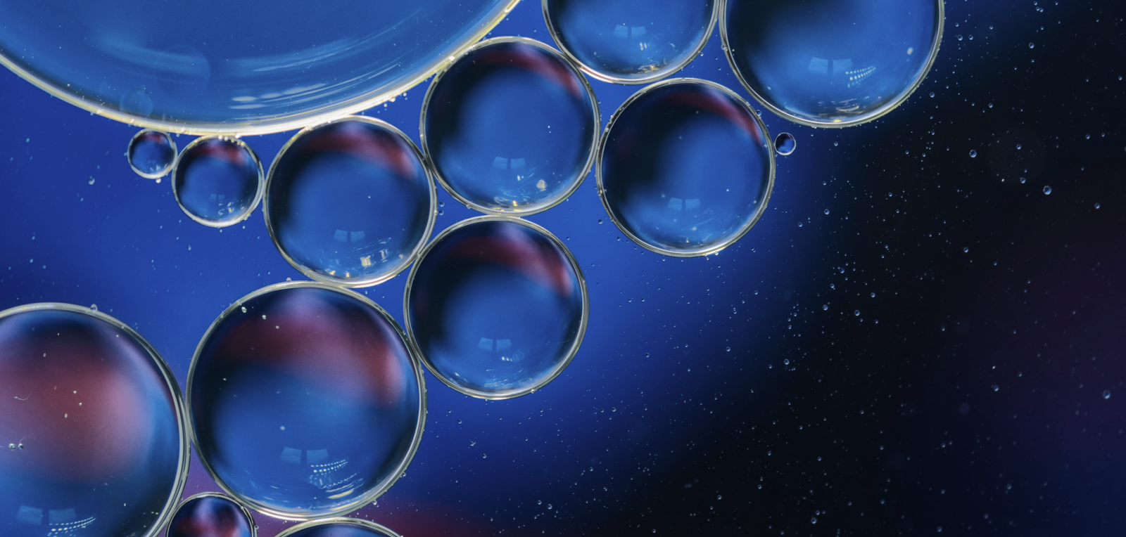 D   BG   Hero Banner   Glycolide Lipid Repair