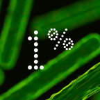 Ingredient - Optimmunist