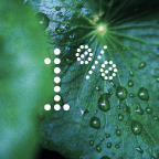 Ingredient Image 1