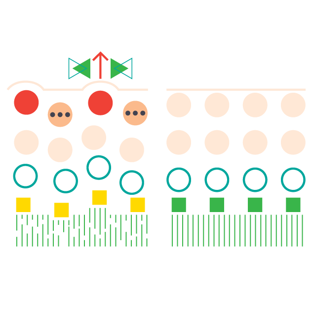 Hyperpigmentation Treatment Level Serum Regimen Lab Skincare